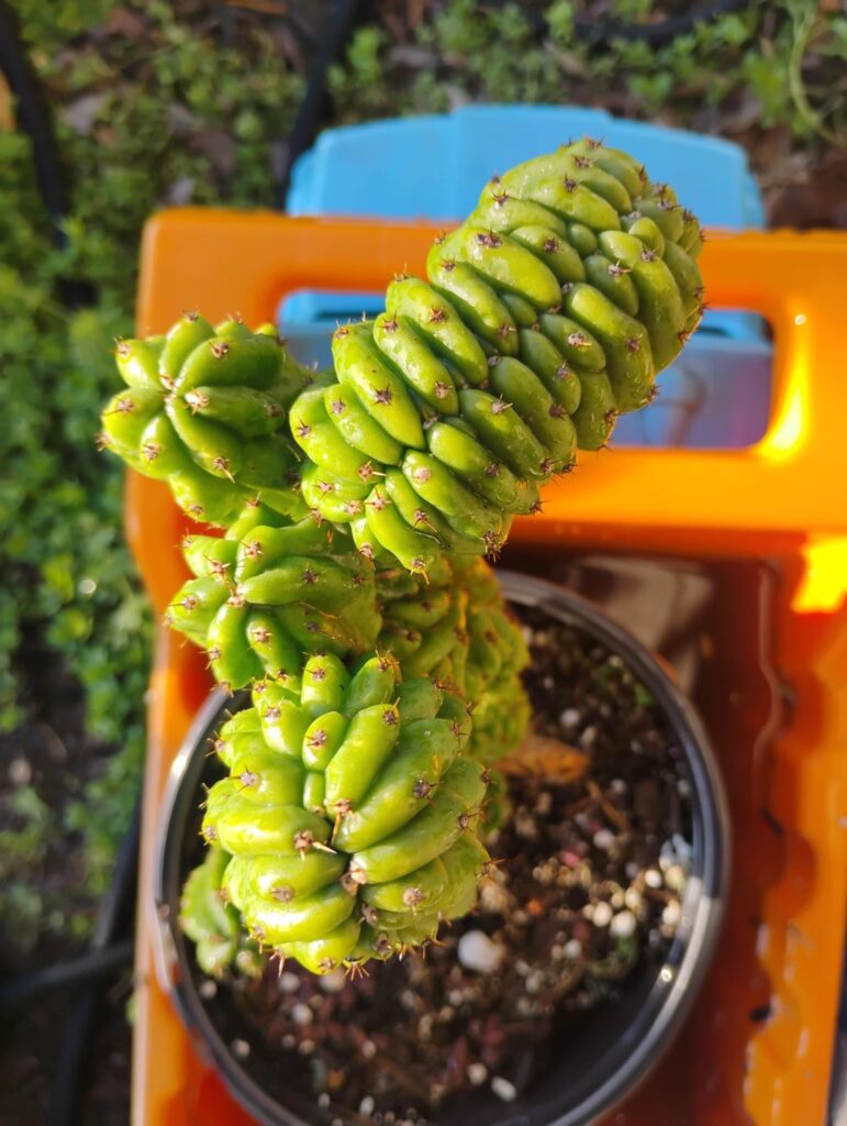 Happy to be making the slow move outside 🌦️