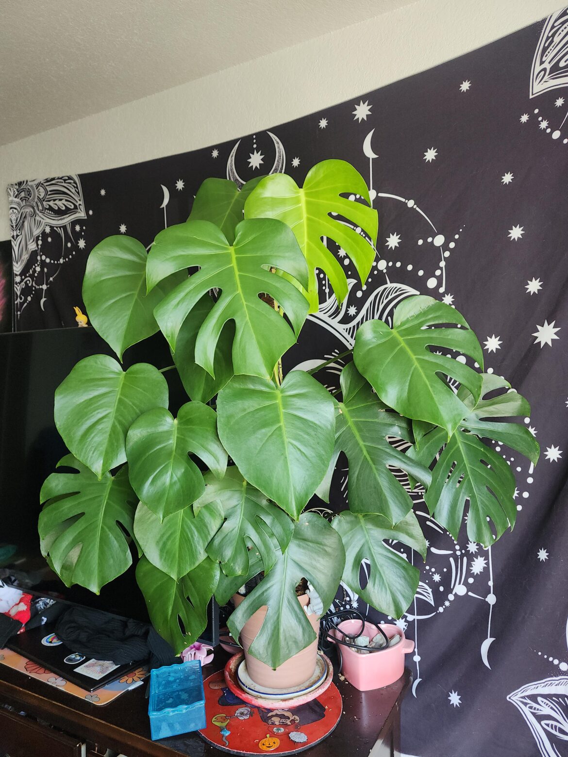 3 year old Walmart baby