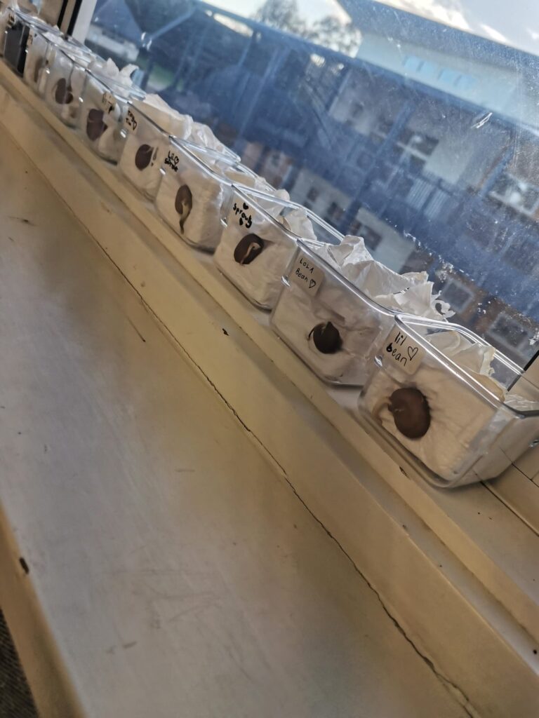 School science experiment – help School science experiment - help