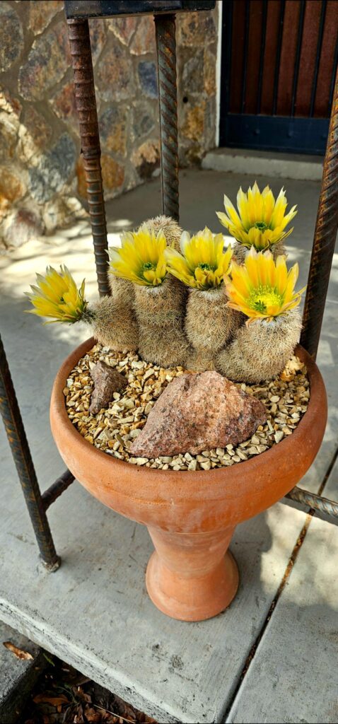 Check out these beauties!