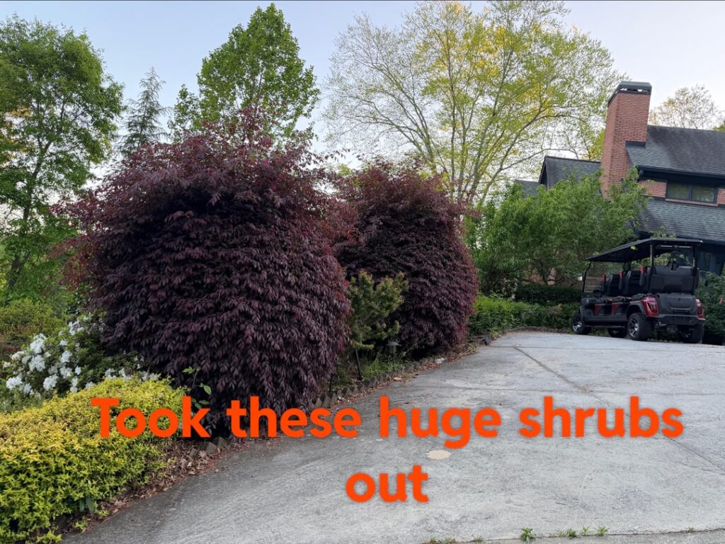 Update from yesterday’s post