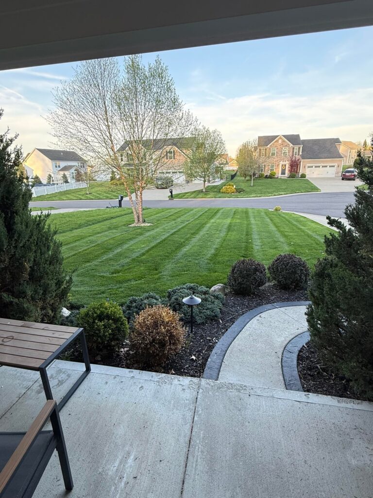 Bluegrass Spring/6A