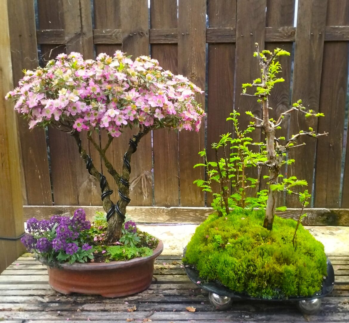 Spring