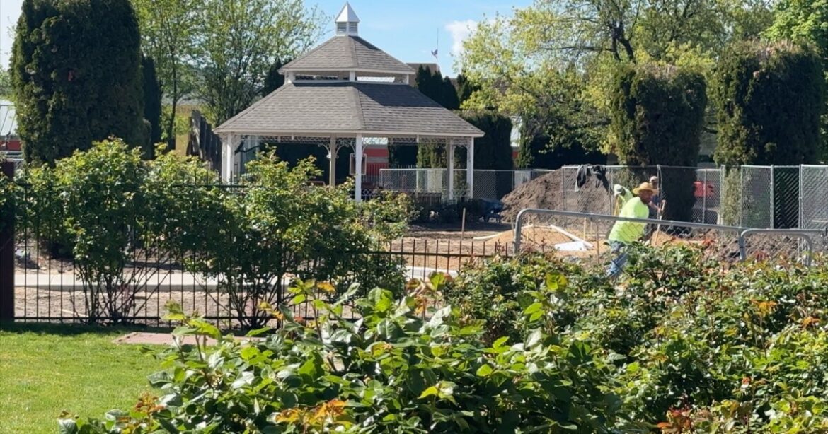 Boise gives new life to historic Julia Davis Park Rose Garden Boise gives new life to historic Julia Davis Park Rose Garden