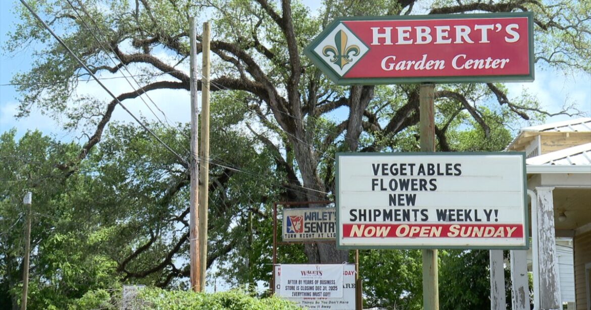 tips and tricks from Hebert’s Garden Center tips and tricks from Hebert's Garden Center
