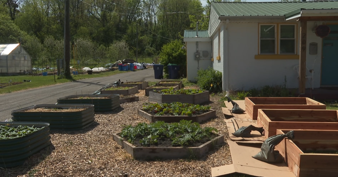 Growing local gardening with the Victory Garden Blitz