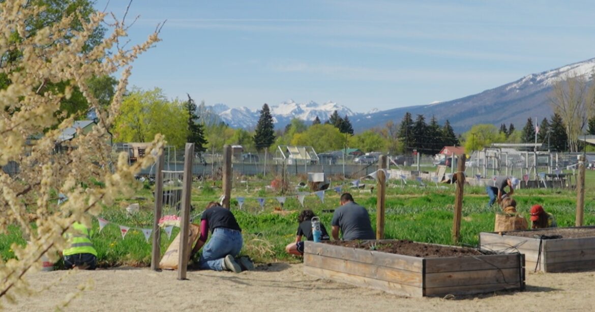 Volunteers begin spring cleanup at Hamilton Community Garden