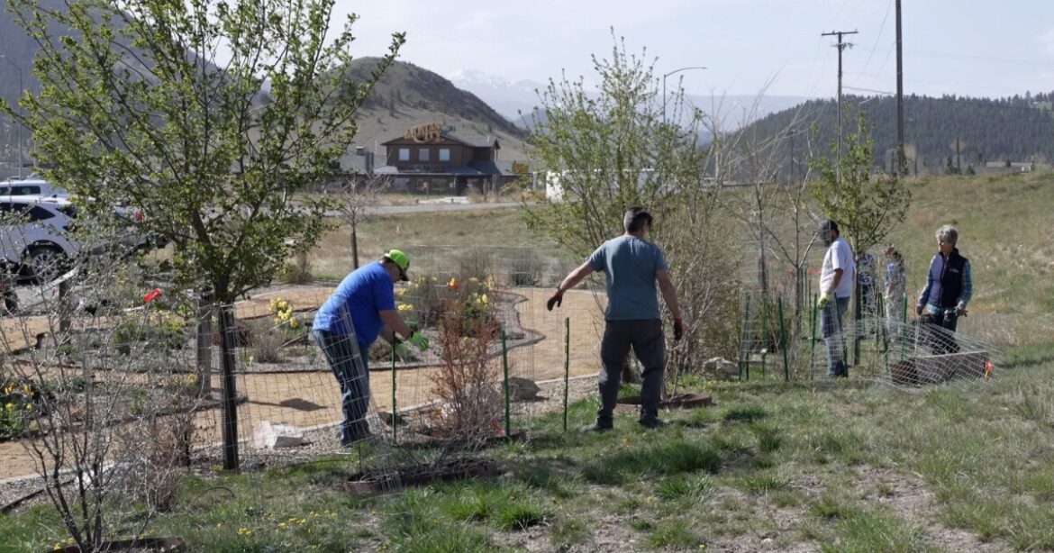 Volunteers help upgrade FireSafe garden