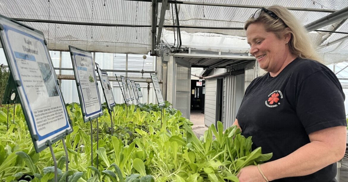 Green thumbs welcome: Spring gardening tips for West Michigan