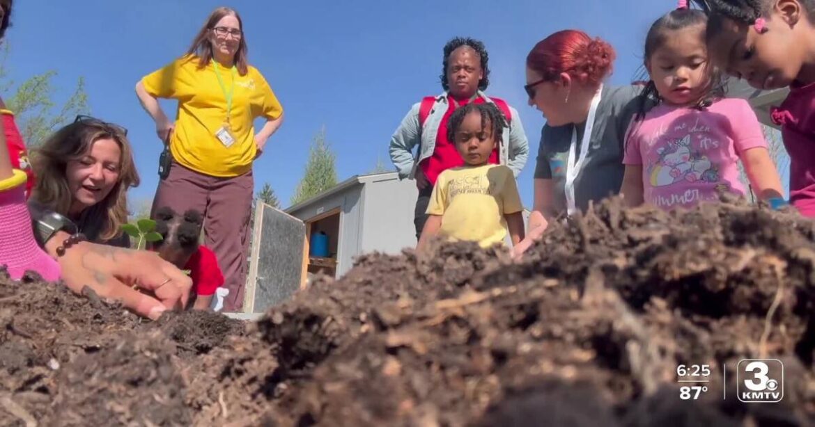 New grant helps Omaha early learning centers expand gardening programs. New grant helps Omaha early learning centers expand gardening programs.