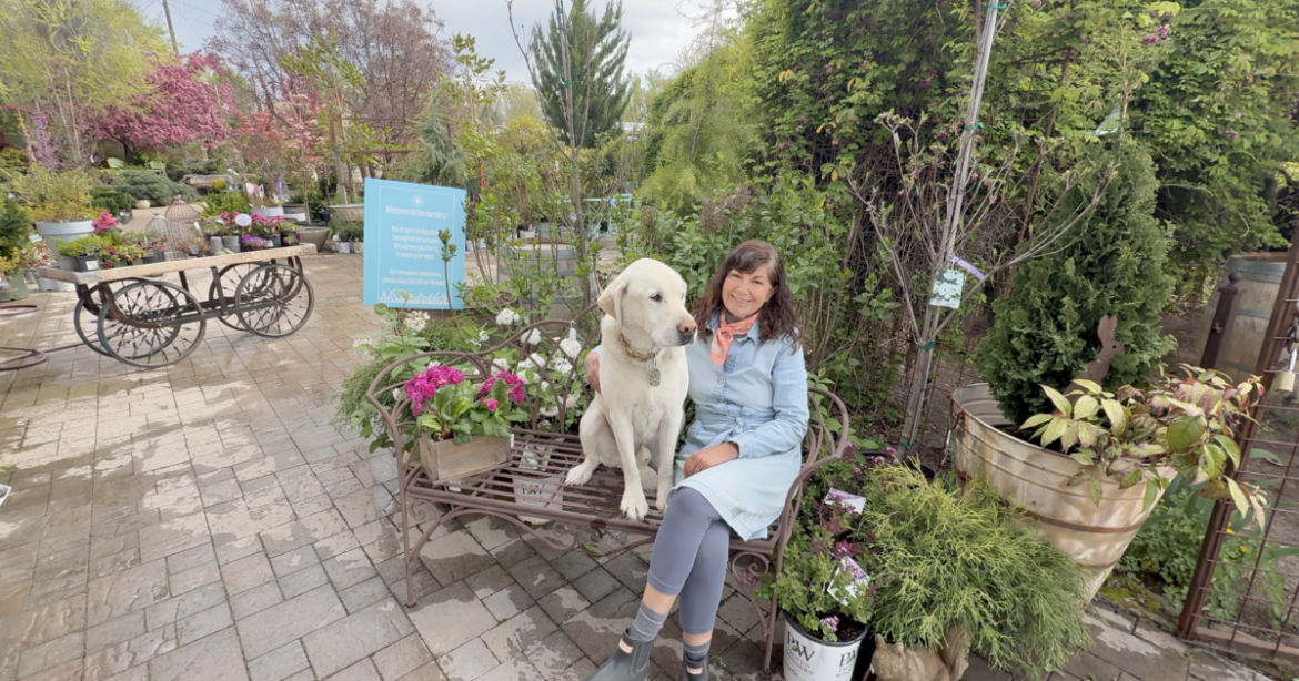 Madeline George Garden Design Nursery helps create sustainable spaces Madeline George Garden Design Nursery helps create sustainable spaces