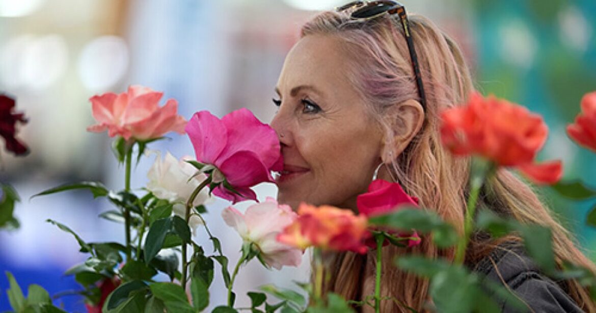 Entries Open for San Diego County Fair Floral & Garden Competitions Entries Open for San Diego County Fair Floral & Garden Competitions