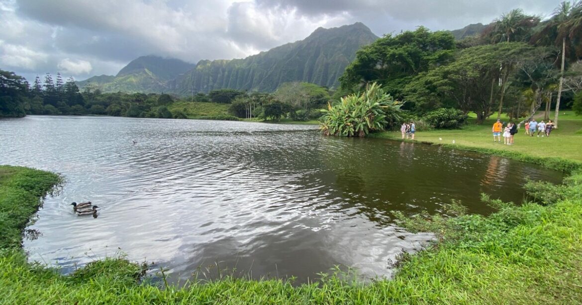 Hoʻomaluhia Botanical Garden prepares master plan as storm cleanup continues