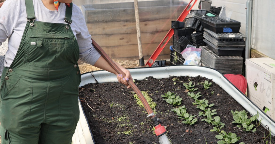 Michigan urban farms are growing a network of home gardens