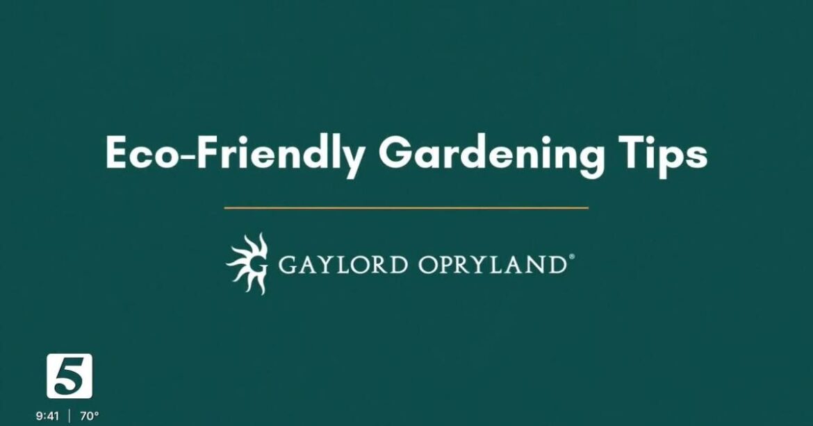 Let Me Help: Eco-friendly gardening tips