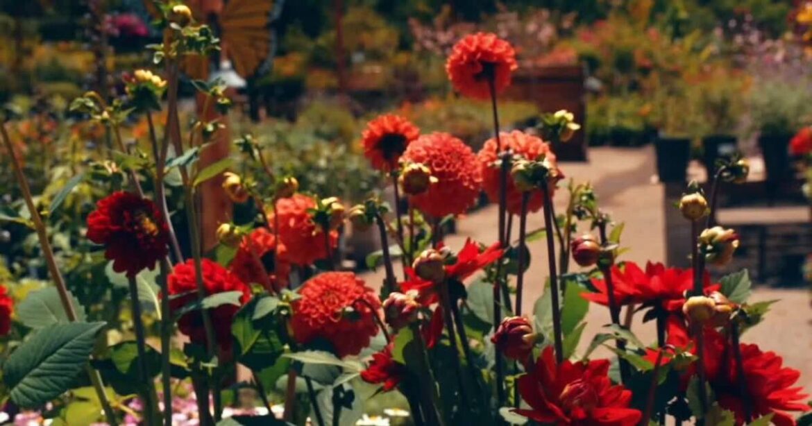Proper planning can help you save money on spring gardening