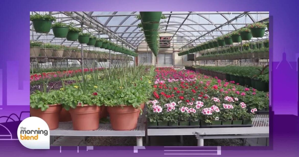 An Evening for All Your Gardening Needs- Molly's Faves