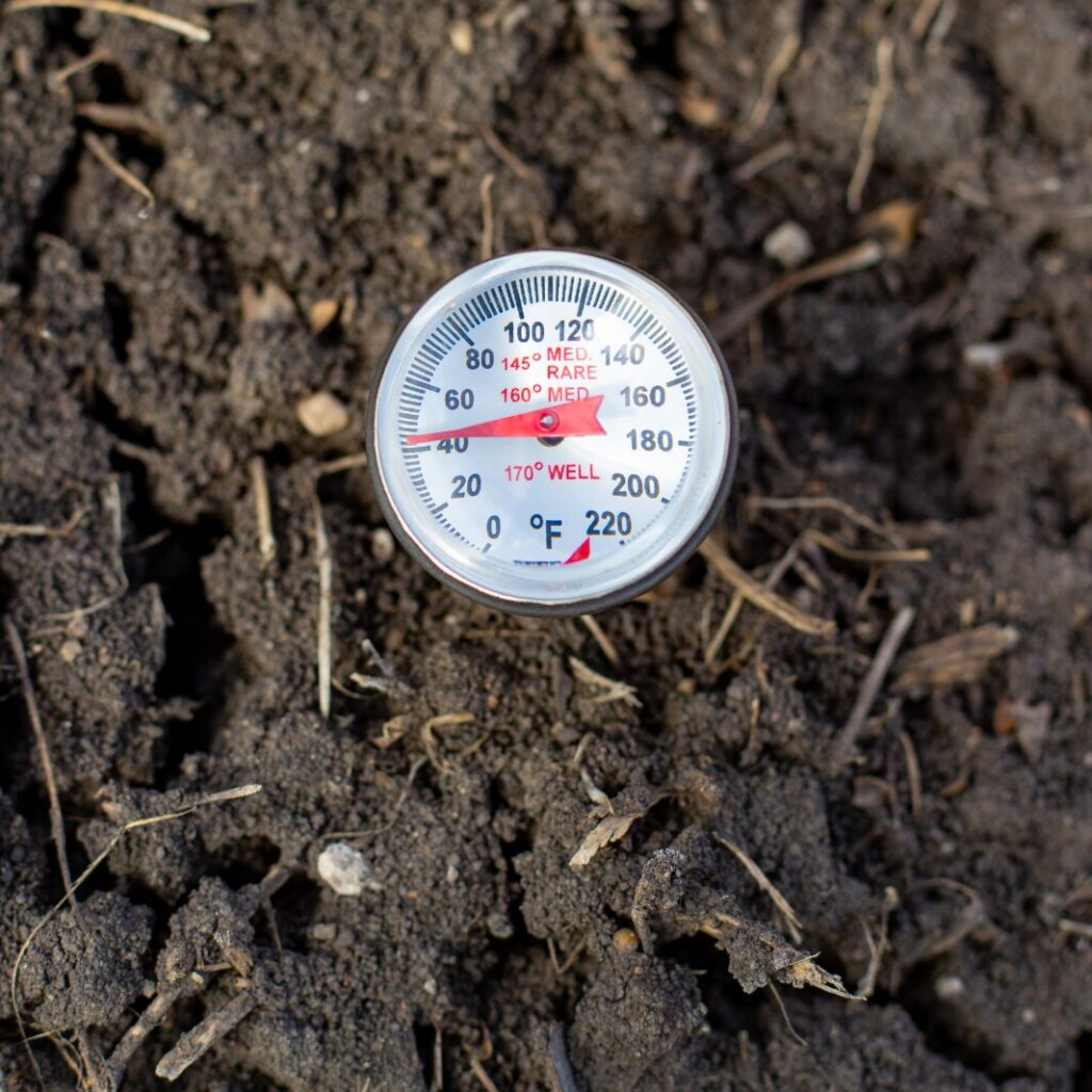 Soil temperature is important to spring gardening - West Central Tribune