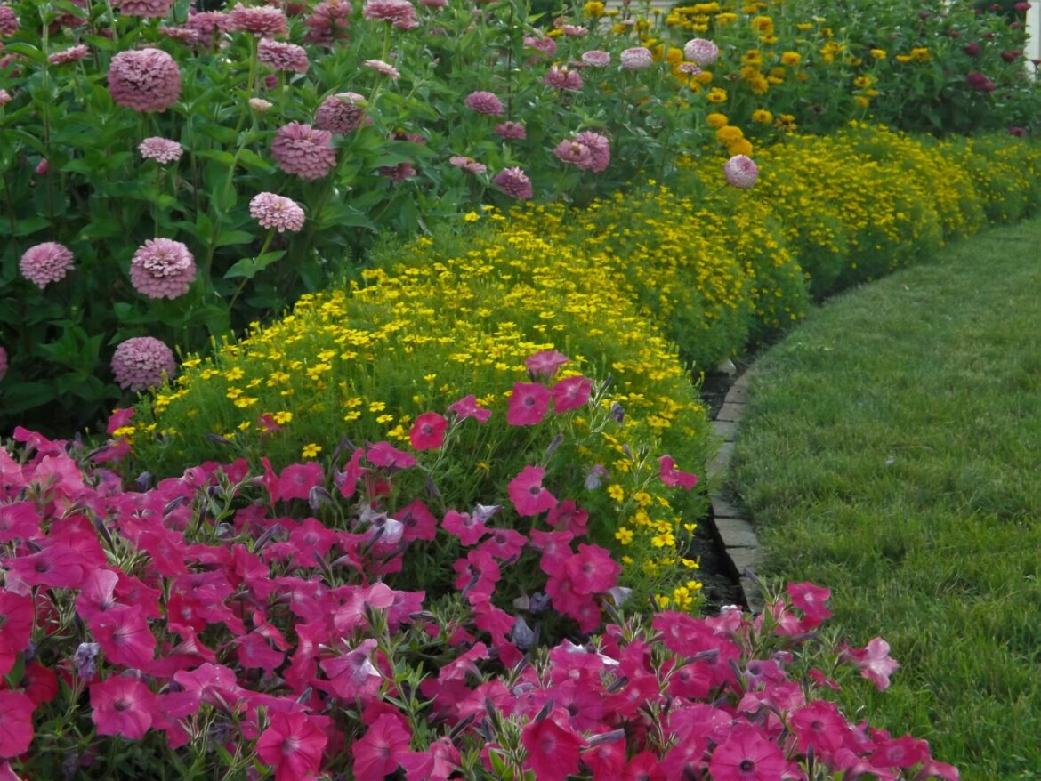 9 springtime tips for better lawns and gardens 9 springtime tips for better lawns and gardens