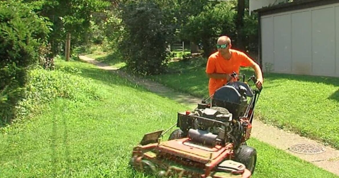 As fertilizer and labor costs go up, here’s how to save on lawn care As fertilizer and labor costs go up, here's how to save on lawn care