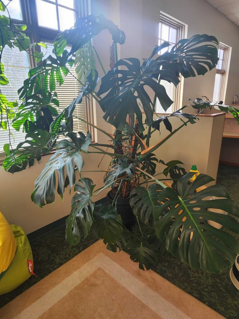 Any suggestions for stabilizing this guy?