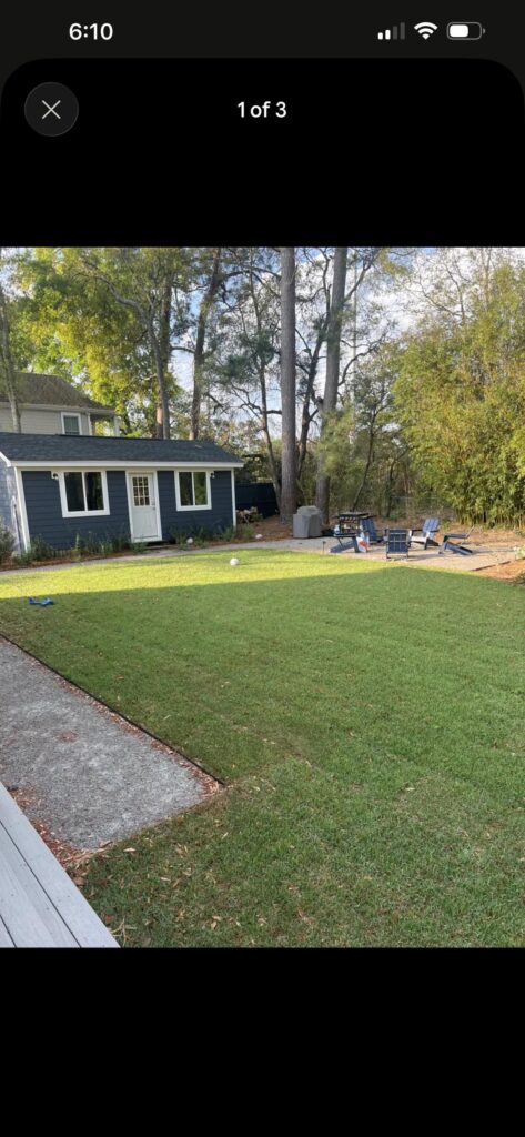 New Zoysia Sod - Large Patch Fungus?