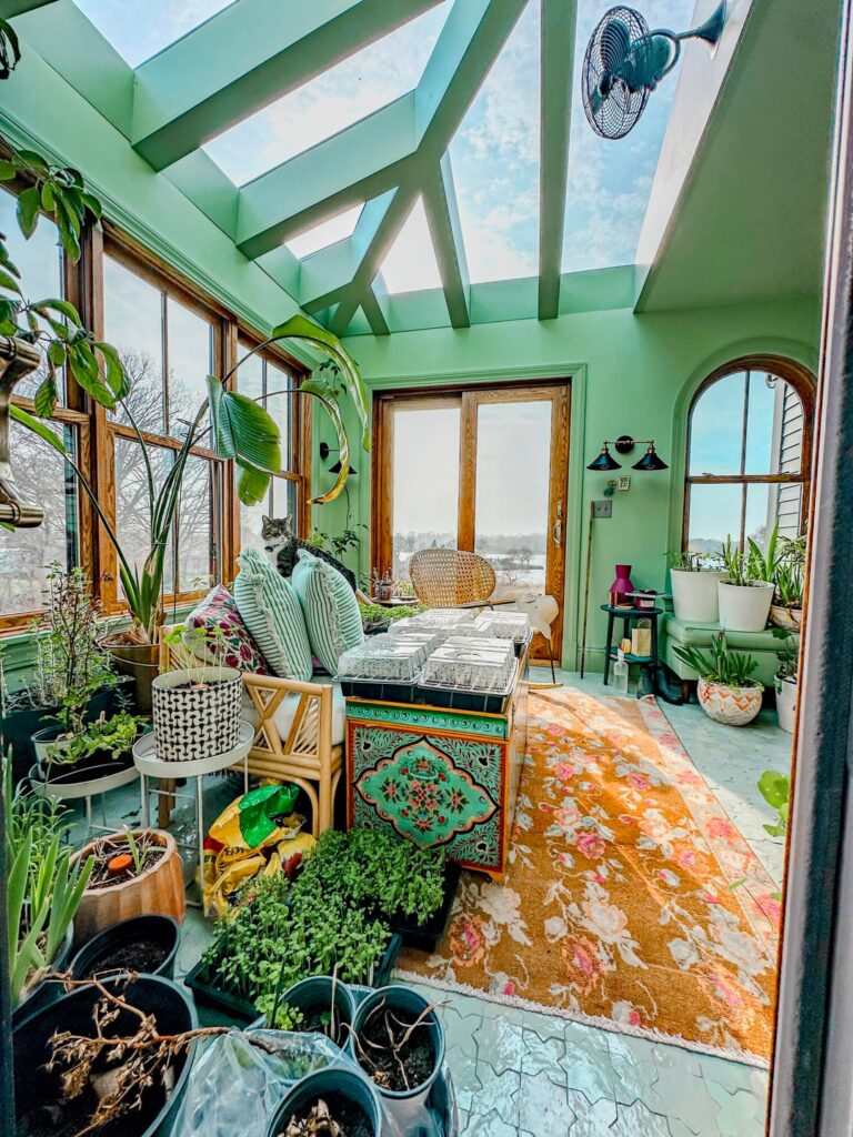 First spring with our greenhouse First spring with our greenhouse