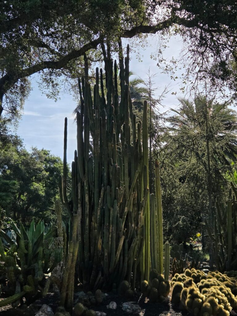 Lotusland Santa Barbara