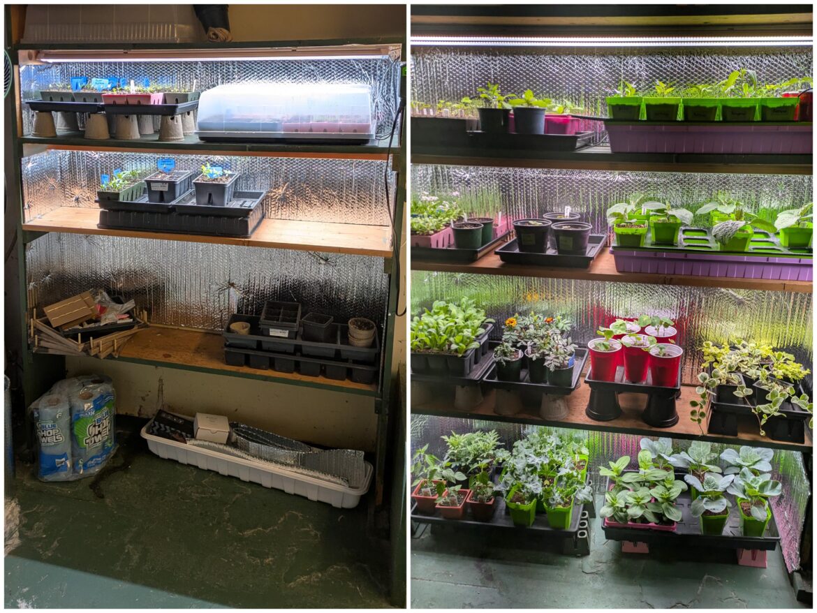 Hope That Frost Date Gets Here Soon - 3/13 vs 4/6