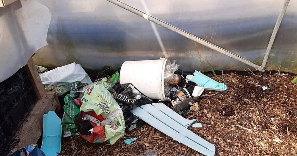 Vandalism setback turned into an opportunity for Bantry gardeners
