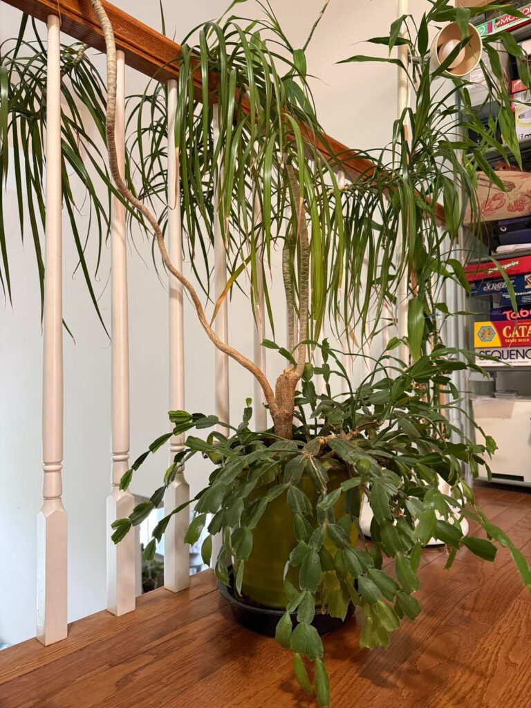Want to propagate but what is it