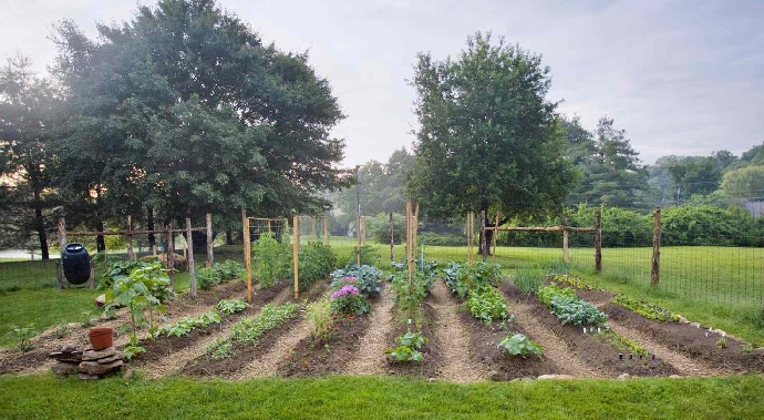 OSU Extension Mercer County’s Great Garden Giveaway – Mercer County Outlook OSU Extension Mercer County’s Great Garden Giveaway – Mercer County Outlook