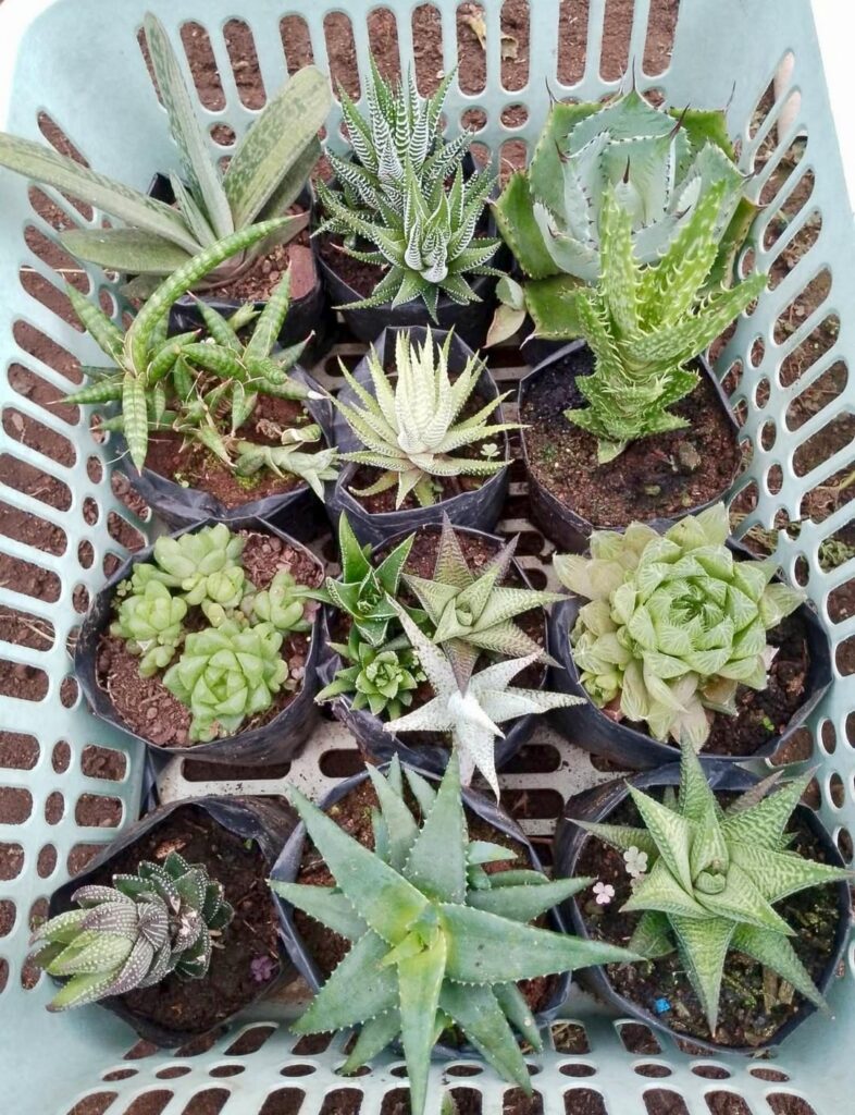 Can you help me identify some? :)