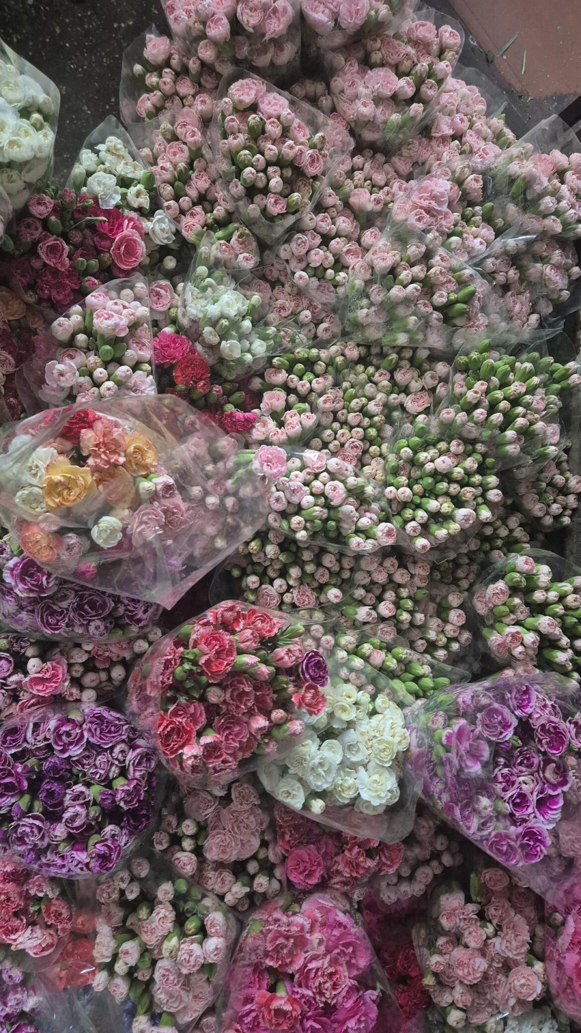 Visited the flower market today! 🎀
