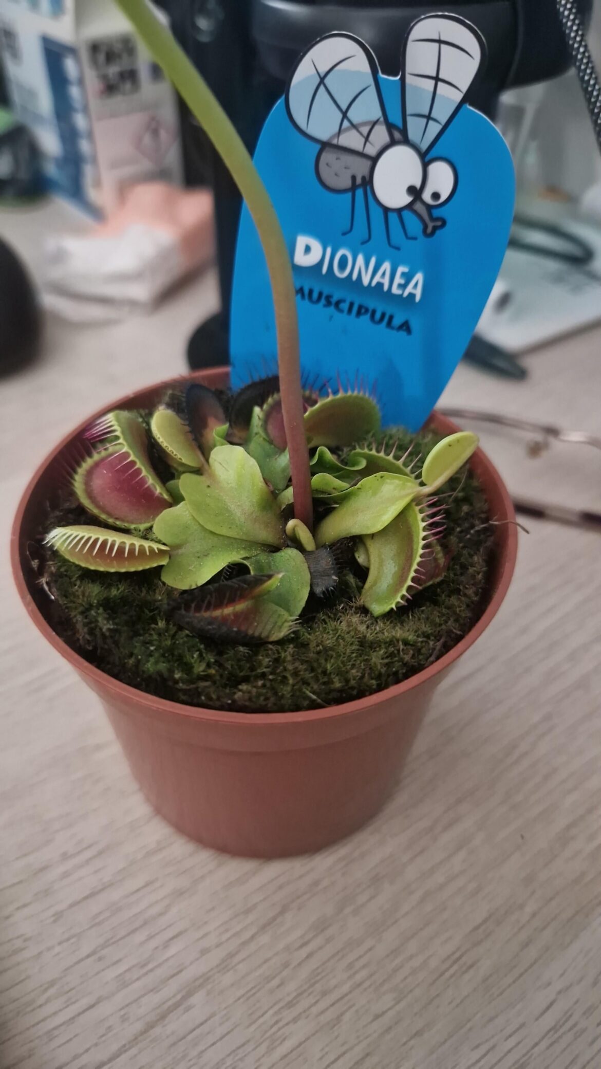 Need advice!!