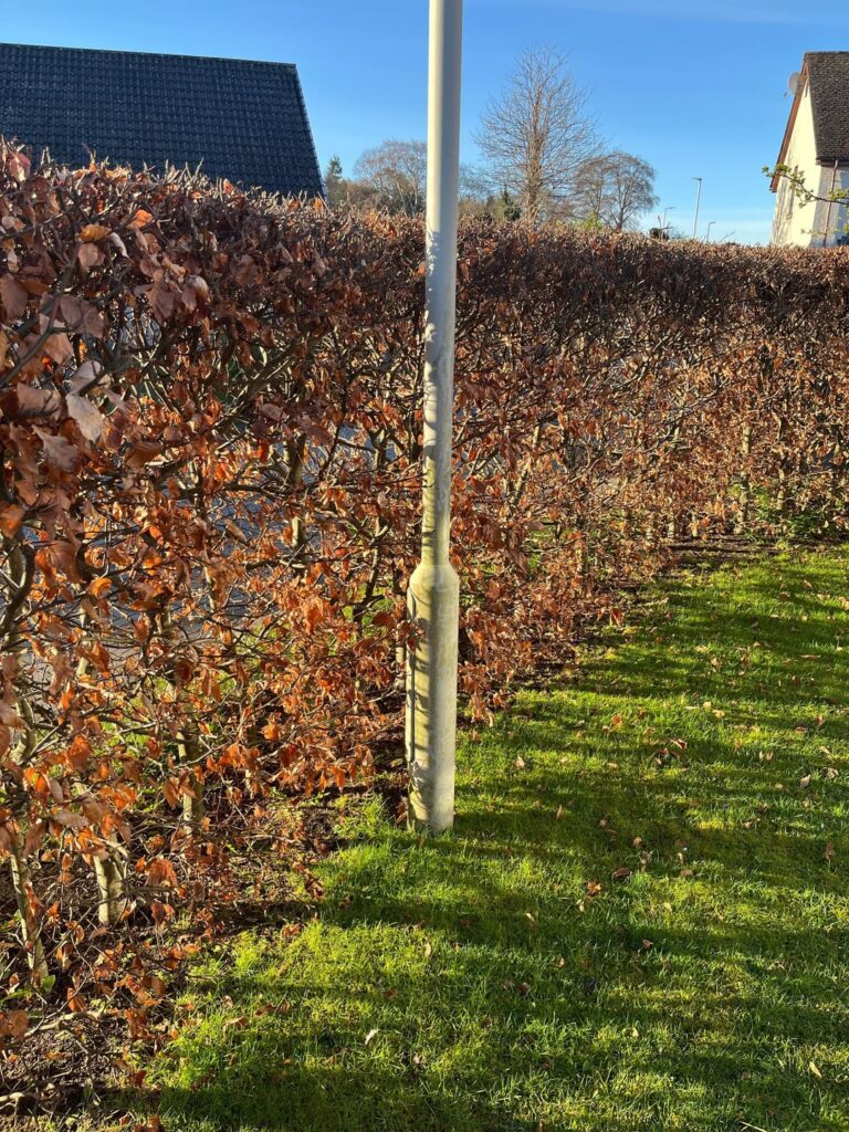 Street light in my garden