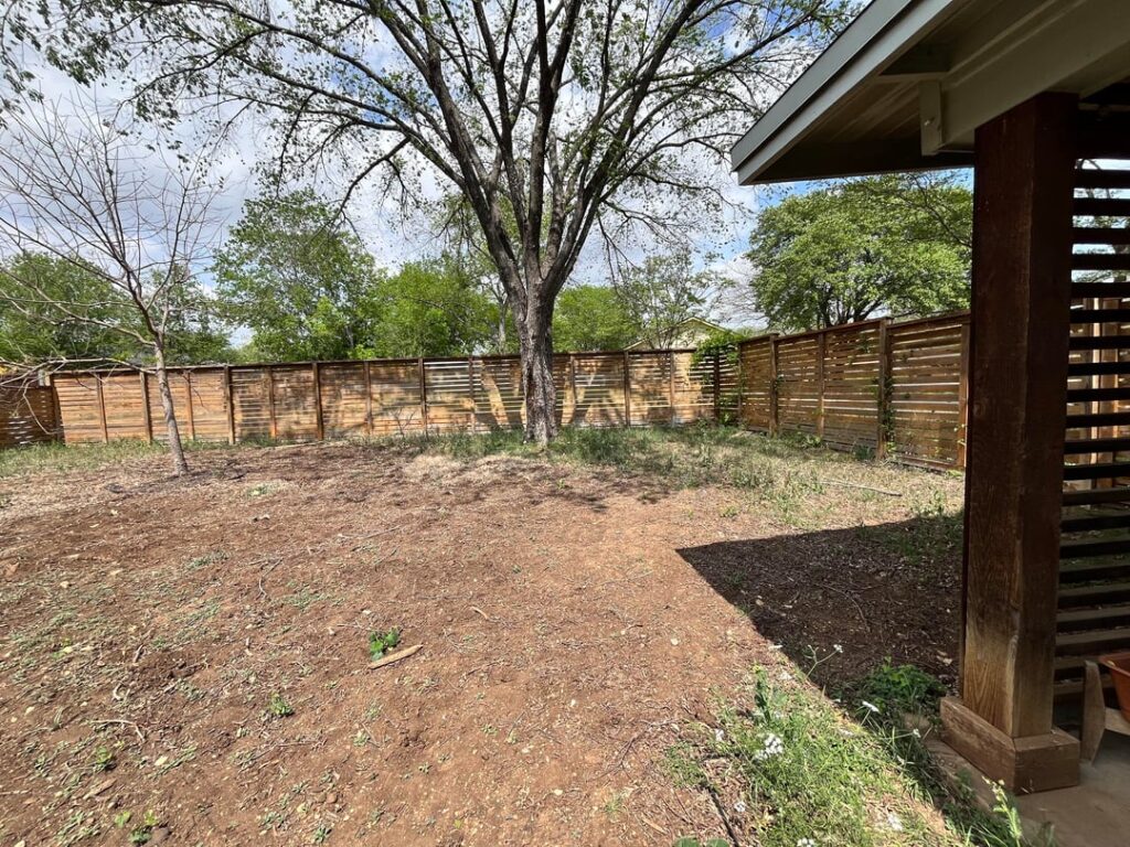 Help with lawn and invasive plants! Help with lawn and invasive plants!