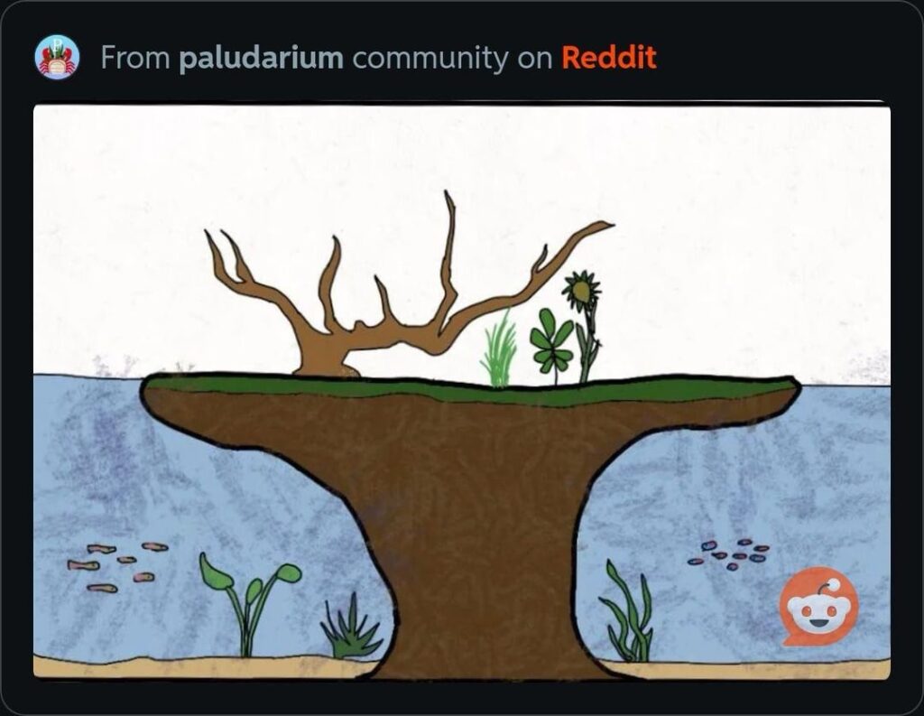 Anon’s Idea (My attempt)