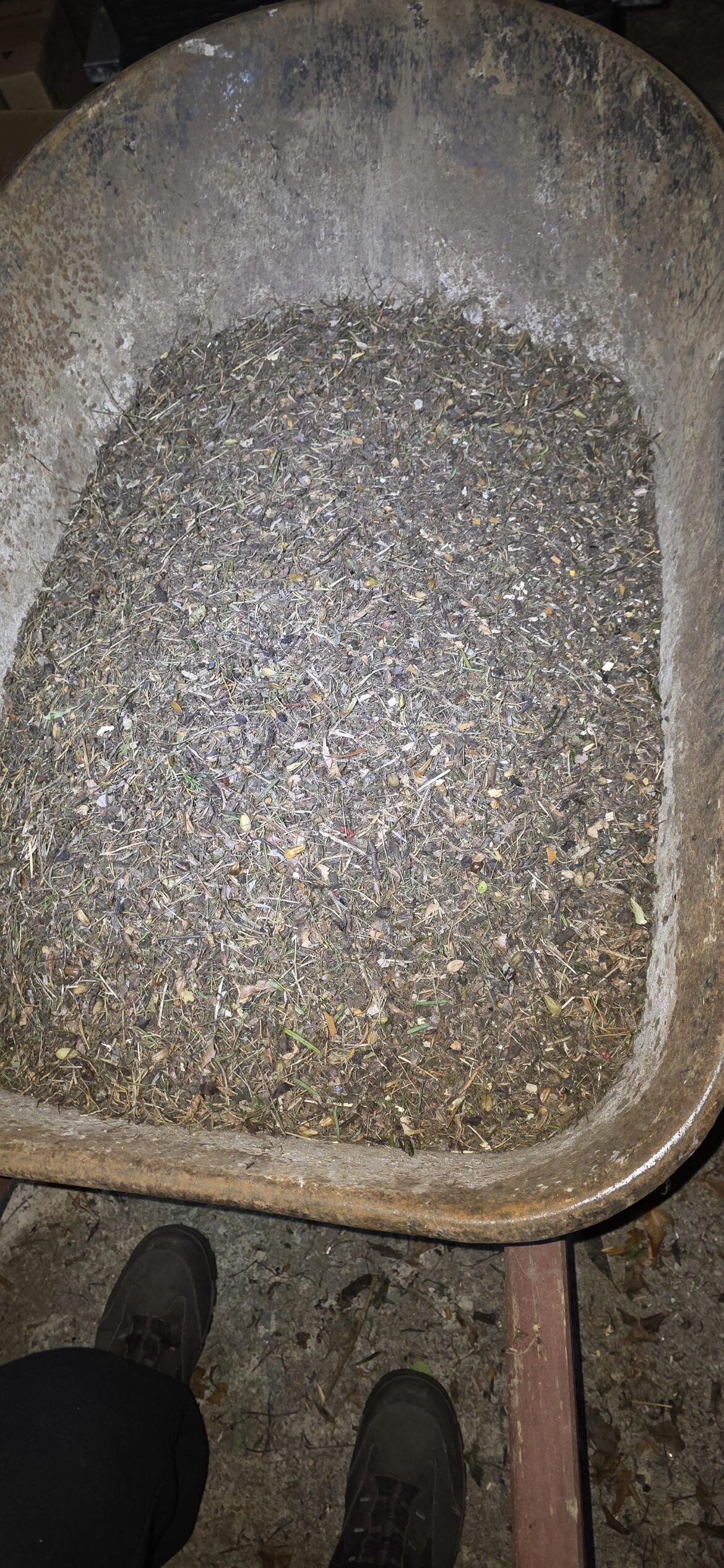 Dirt? Dirt?