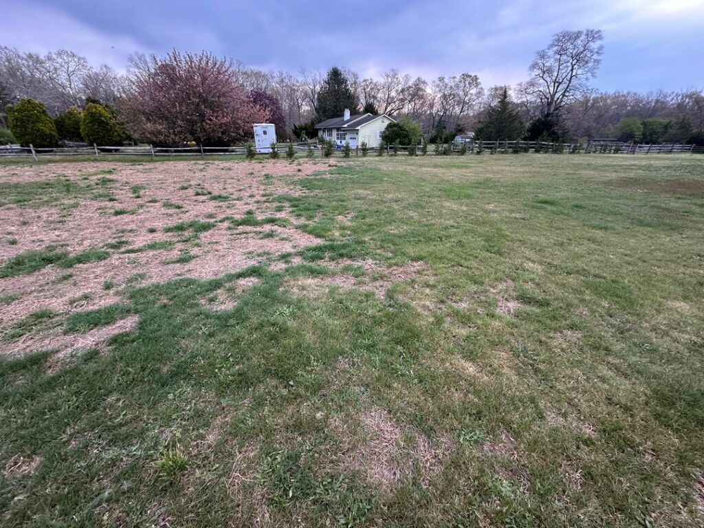 Is this grub damage? Used to be beautiful grass. Still lhave areas of grass that are nice. PLEASE HELP LOL