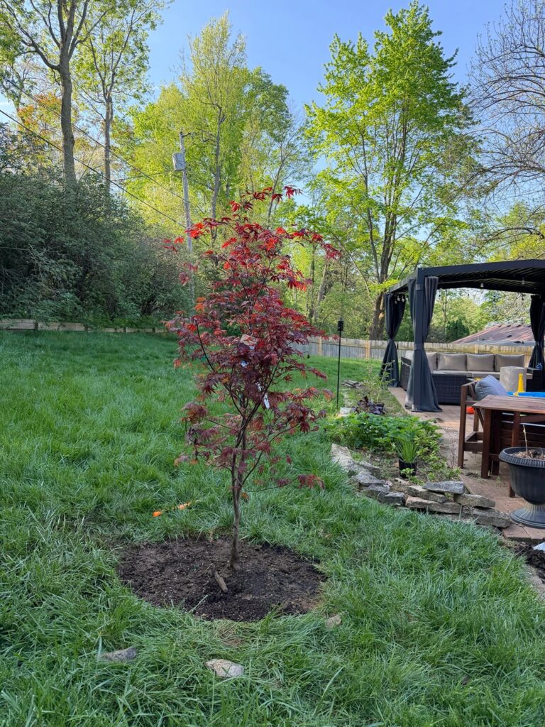 Is the amount of root flair correct? Is the amount of root flair correct?