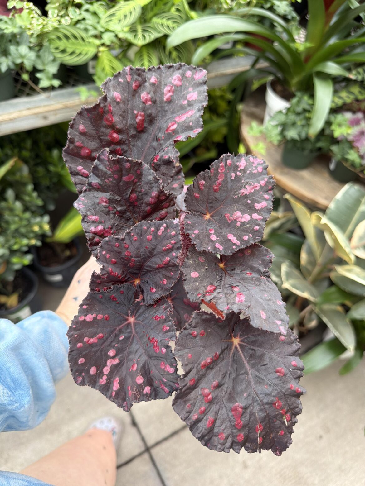 Got this new baby the other day