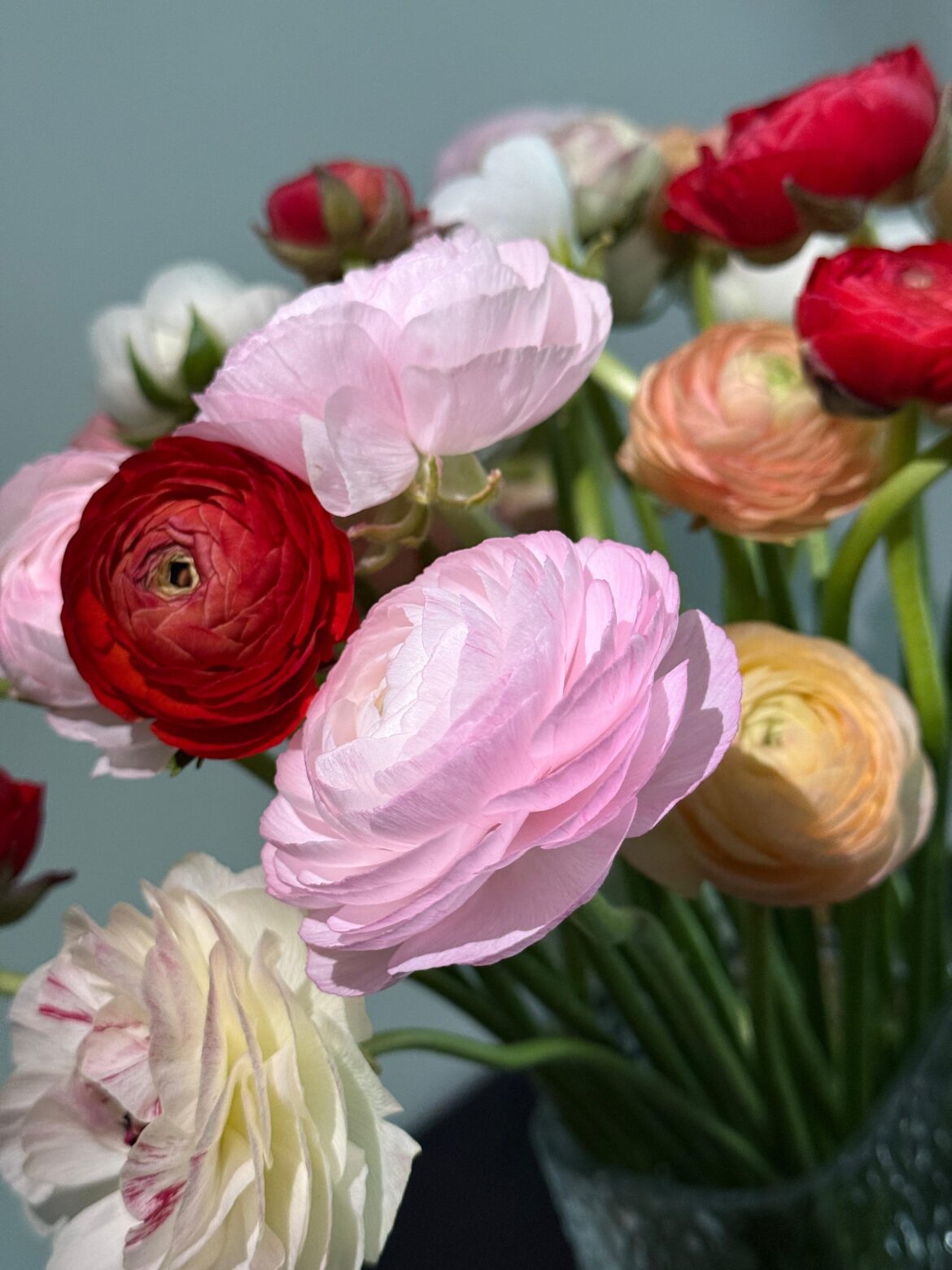 Here's some more tenderness for you.🌸Recognize it?
