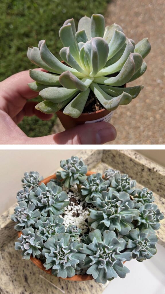 Before and after, some as far back as 2022.