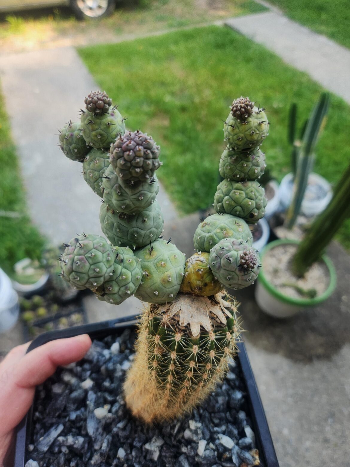 Thought you guys might like this one a little