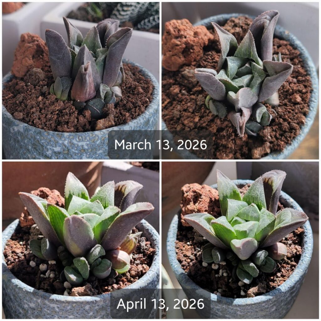 She still has a long way to go but… She still has a long way to go but...