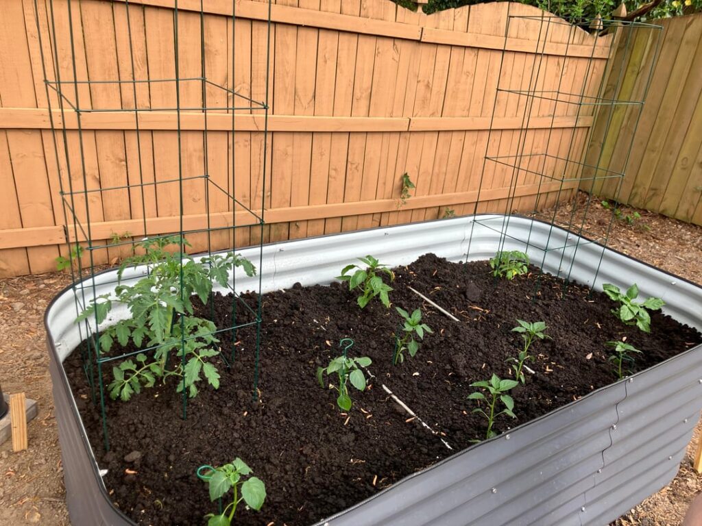 Went too hard on first garden