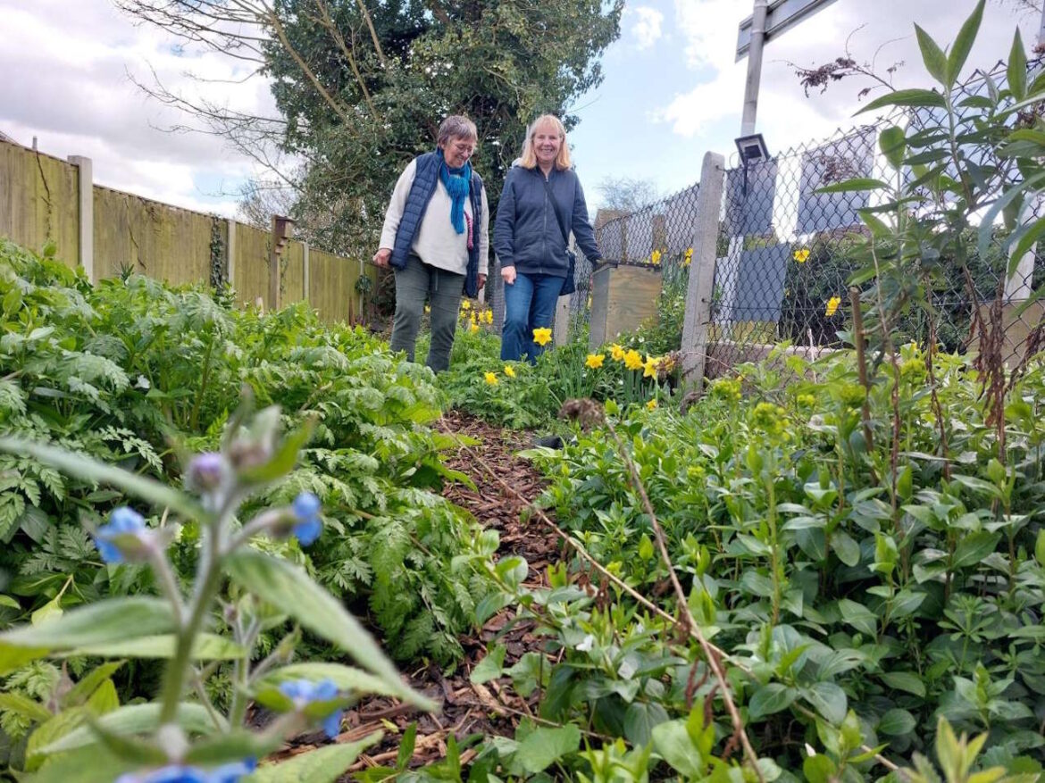 Volunteers create new garden at Greater Anglia station Station Adopters in the Community garden at Bures railway station. // Credit: Greater Anglia