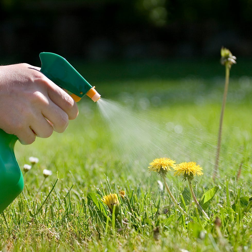 weed killer weed killer