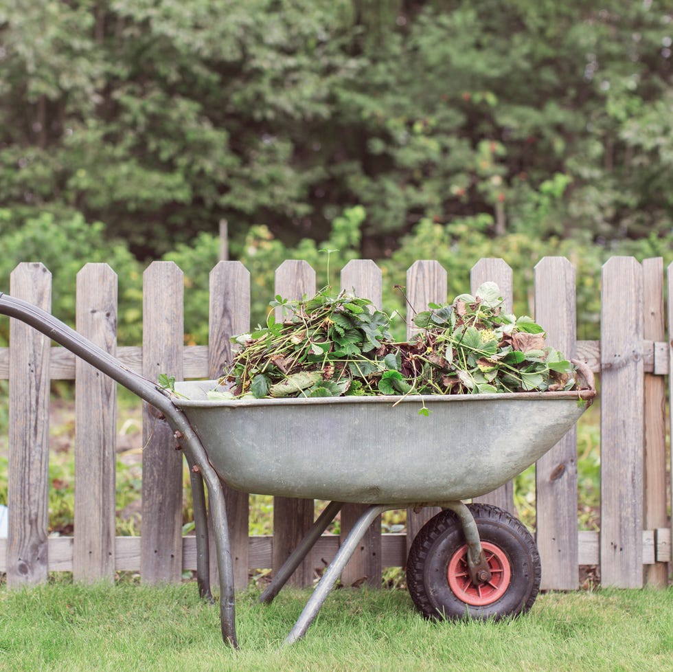garden wheelbarrow filled with plant clippings beside a wooden fence